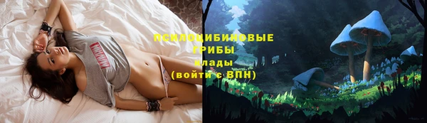 меф Алзамай