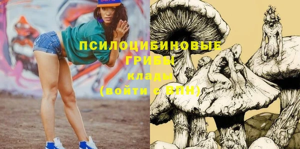 амф Алексин