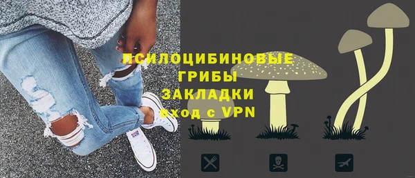 амф Алексин